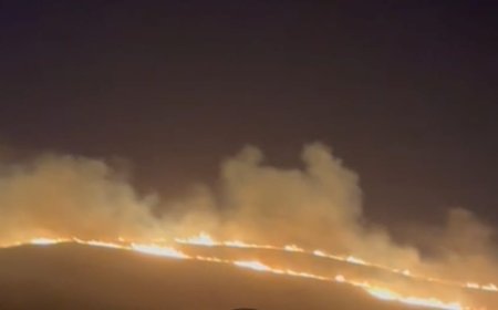 Пожар в Шымкенте на Бадамском водохранилище