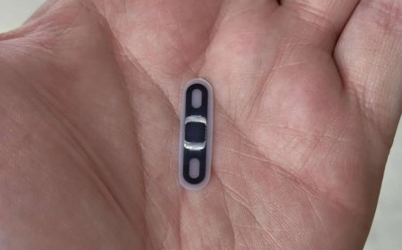 В США создали криптокошелек, который можно вживить под кожу