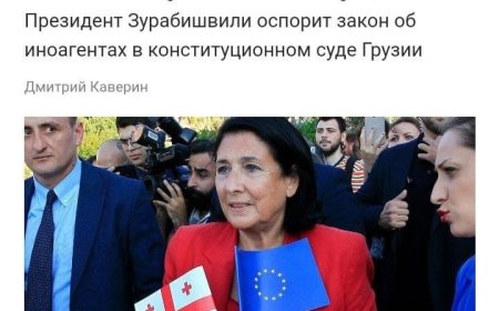 Our President Salome Zurabishvili belongs to a radical group of traitors.