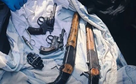 Fifteen members of the Wild Arman gang detained in Almaty and Shymkent