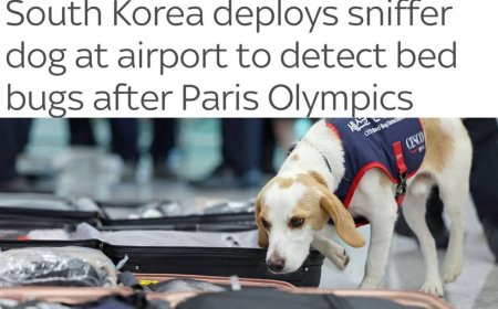 Оңтүстік Корея Олимпиададан кейін спортшылардан паразиттерді табу үшін иісшіл итті пайдаланады