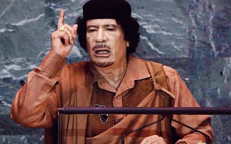 Каддафи вирустар мен вакциналар туралы: 2009 жылғы БҰҰ Бас Ассамблеясындағы қастандық теориясы