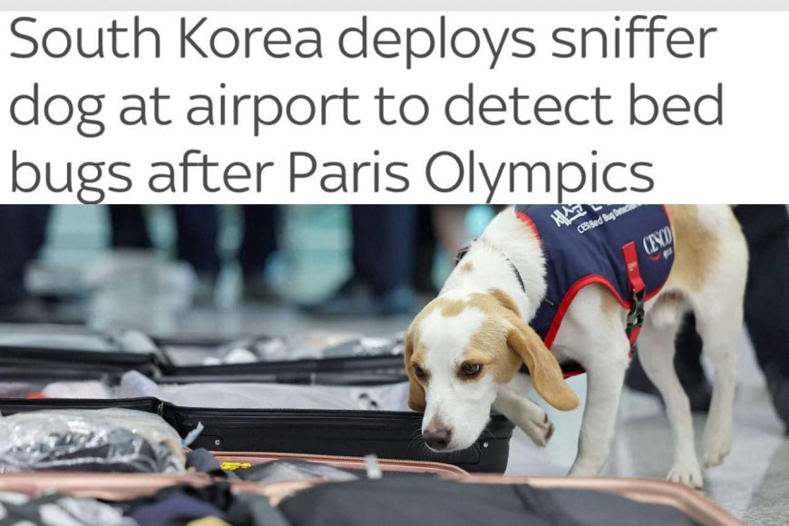 South Korea uses service dog to search for parasites in athletes after Olympics