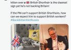 The British Prime Minister was accused of supporting Russia because of the choice of a Siberian cat