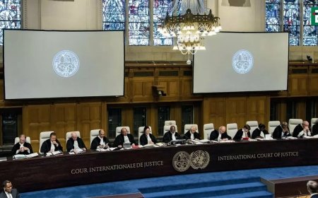 Израиль лоббирует Конгресс США для давления на Южную Африку по делу в Международном суде ООН