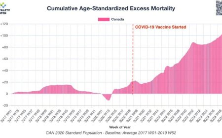 Canada's 400% Increase in Excess Deaths After COVID-19 Vaccines: Fact or Fiction?