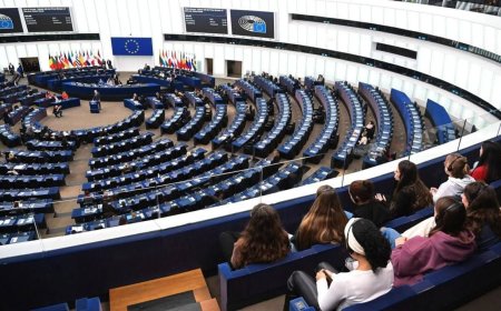 The European Parliament called on the EU to lift all restrictions on Kiev's strikes on Russian territory