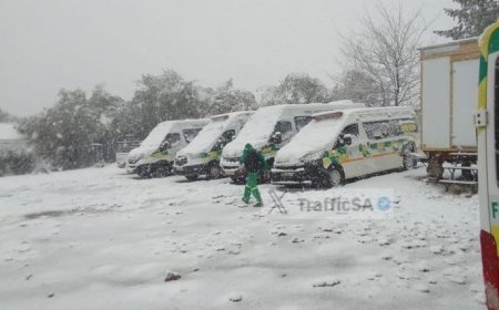 Rare snowfalls hit the province of Free State in South Africa