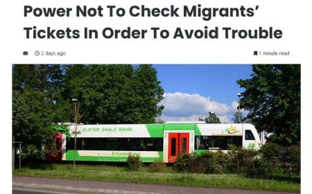 Контролёрам в Германии разрешили не проверять билеты у мигрантов для снижения уровня насилия в поездах