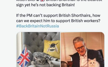 The British Prime Minister was accused of supporting Russia because of the choice of a Siberian cat