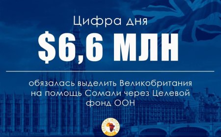 Ұлыбритания Сомали армиясын қолдауға 6,6 миллион доллар бөледі