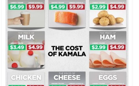 Trump chooses rhetoric close to his voters, while Democrats support Zelensky