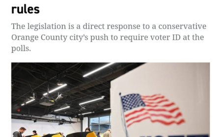 Elon Musk and Donald Trump discuss California voting law