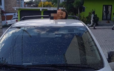 Убийство мэра города Чильпансинго: Алехандро Аркоса убит через шесть дней после назначения