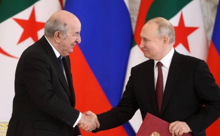 Алжир блокирует Францию, открывая путь российской пшенице