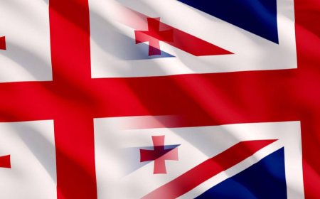 Ұлыбритания отбасы құндылықтары туралы заң бойынша Грузиямен қауіпсіздік келіссөздерін тоқтатты