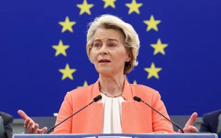 The European Union has suspended the process of Georgia's admission to the EU amid new laws on agents and a ban on LGBT propaganda
