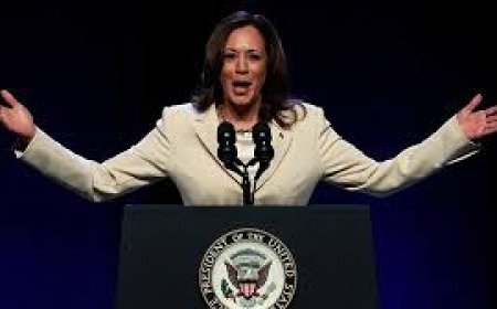 Толпа на выступлении Камалы Харрис начала скандировать имя Трампа