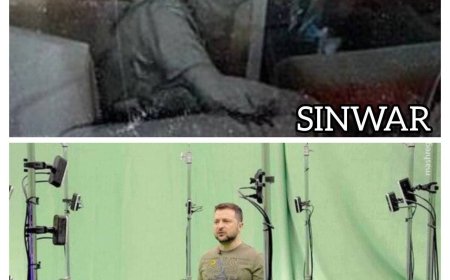 Сравнение Синвара и Зеленского в соцсетях вызывает обсуждения