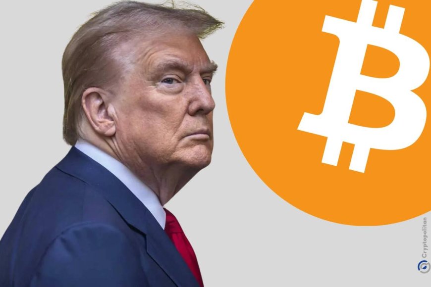 Standard Chartered predicts the rise of cryptocurrencies with Trump's victory