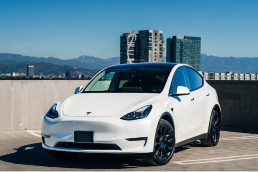 В США начато расследование в отношении системы Tesla Full Self-Driving после ДТП