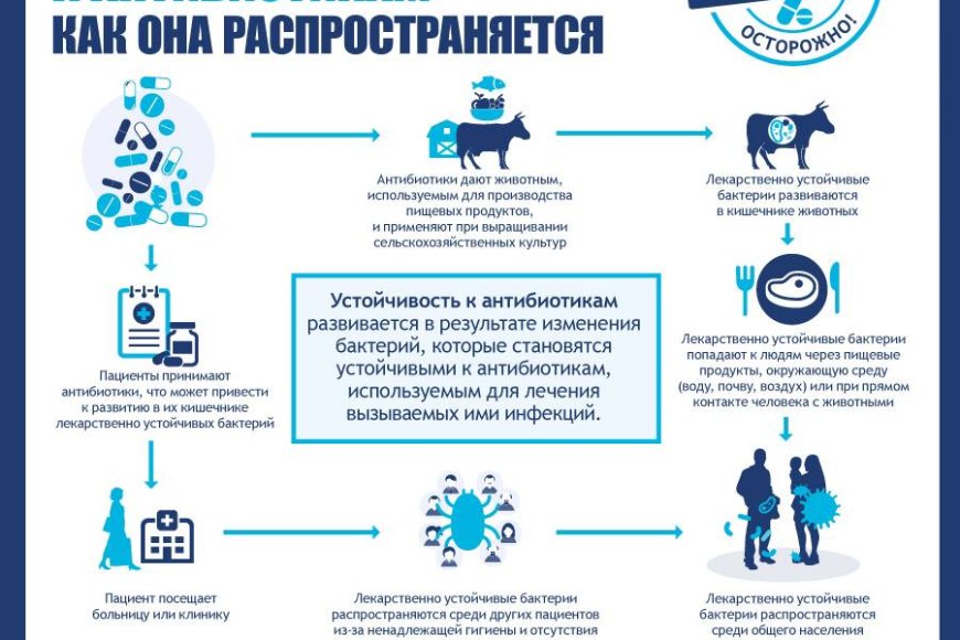 Антибиотиктер жұмысын тоқтатады: жаһандық медициналық қауіп