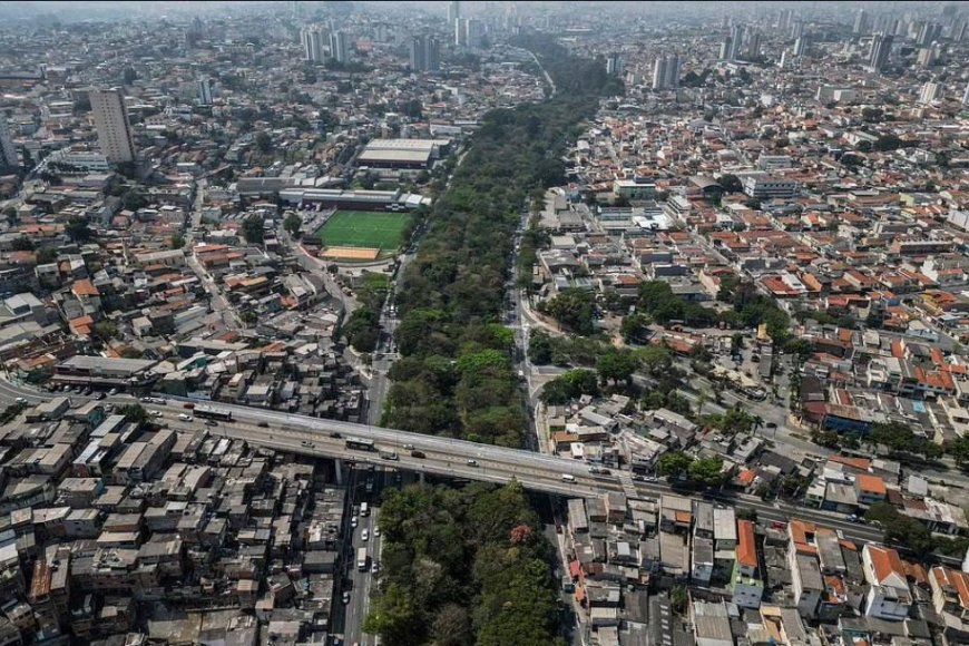 The Brazilian single-handedly planted 40,000 trees, turning a wasteland into a park