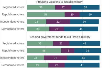 AP-NORC сауалнамасы: Американдықтардың көпшілігі Израильге қару-жарақ пен қаржыландыруға қарсы