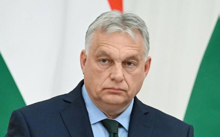Орбан ЕО-ны Венгрияда төңкеріс жасамақ болды деп айыптады - премьер-министрдің мәлімдемесі
