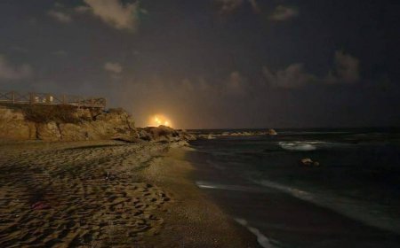 «Хезболла» камикадзе ұшқышсыз ұшағы Израильдегі электр қуатымен айналысатын компанияның қоймасына соғылды - Израиль БАҚ