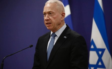 Галлант оның жұмыстан босатылу себептері туралы: ультра православиелік шақыруды және атысты тоқтатуды қолдау