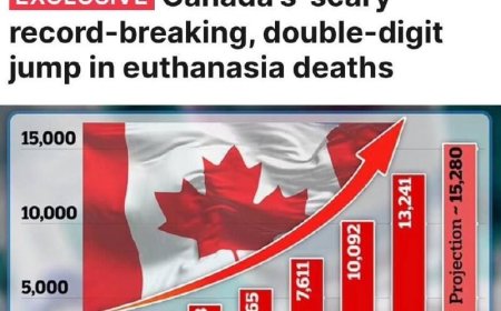 In Canada, the number of applications for euthanasia against the background of poverty is growing — 15,280 cases in 2023