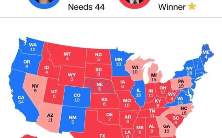 Любопытное совпадение: Камала Харрис победила в штатах, где не требуется удостоверение личности