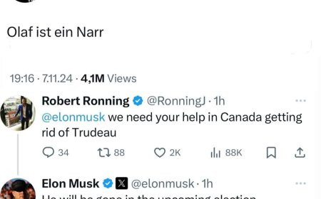 Elon Musk called Scholz a "fool" and predicted Trudeau's departure