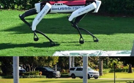 A robot dog has been added to Trump's security