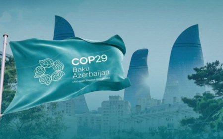 Талибан примет участие в климатической конференции COP29 в Азербайджане