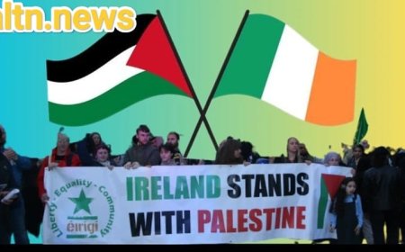 Ireland appoints first Plenipotentiary Ambassador of Palestine