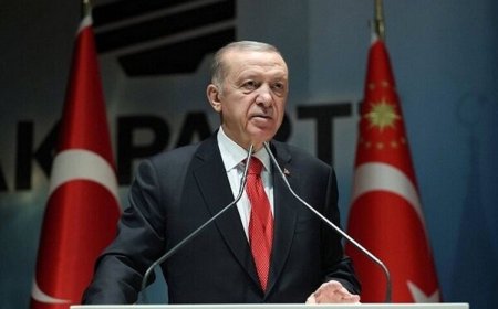 Ердоған ислам елдерін Израильге бойкот жариялауға шақырды