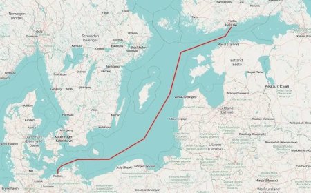 The C-Lion1 cable between Finland and Germany is damaged