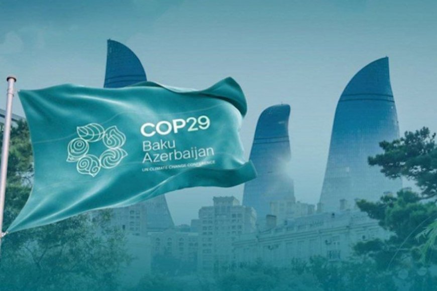 Талибан примет участие в климатической конференции COP29 в Азербайджане