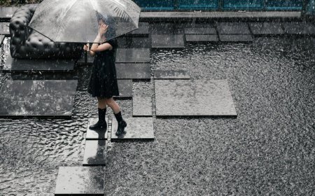 Artificial Rain in Seoul: A Café Where It’s Always Drizzling