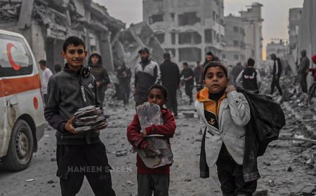 Дети собирают дрова из руин в Газе для приготовления еды