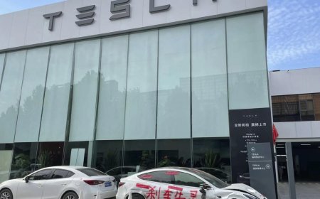 Tesla Sues Chinese Blogger for $23,000 Over Defamation
