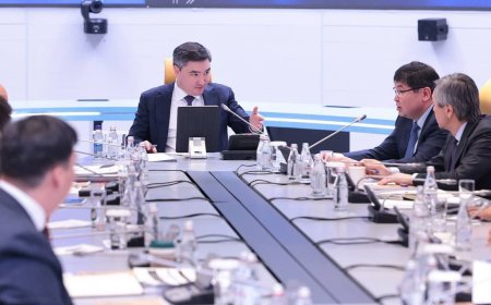 Регистрация ИП и ТОО через Face ID: Казахстан ужесточает налоговый контроль