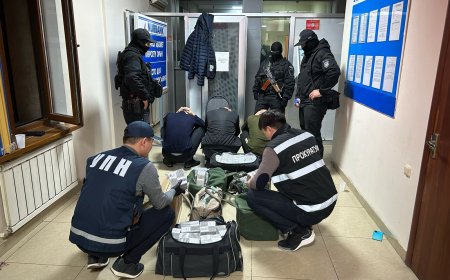 Шымкентте есірткі саудасы мен кірістерді заңдастырған топ ұсталды