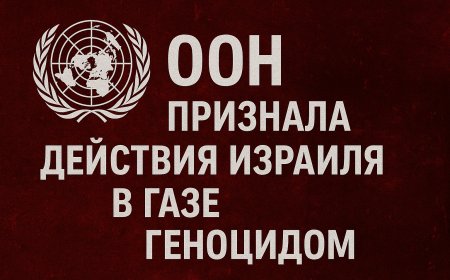 ООН официально признала: Израиль совершает геноцид в Газе