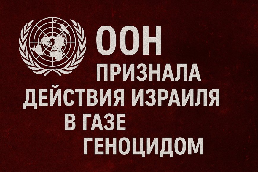 ООН официально признала: Израиль совершает геноцид в Газе