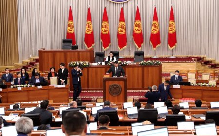 Языковой инцидент отражает сдвиг в идентичностной политике Киргизии