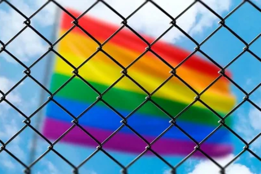 Сенат одобрил в первом чтении закон об ограничении пропаганды ЛГБТ