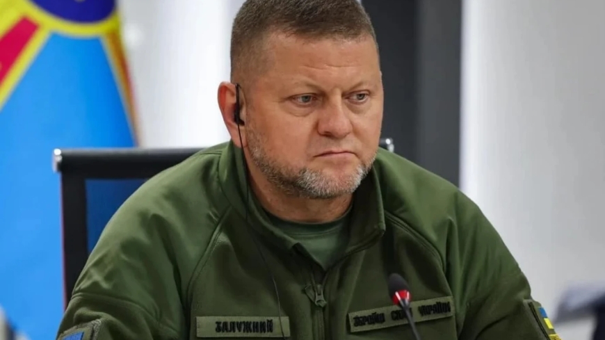 Залужный Украинада ішкі тұрақсыздану қаупі бар екенін айтты